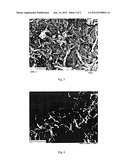 CARBON NANOTUBE AGGLOMERATE diagram and image