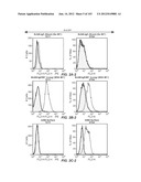 APOPTOTIC ANTI-IGE ANTIBODIES diagram and image