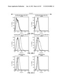 APOPTOTIC ANTI-IGE ANTIBODIES diagram and image