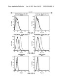 APOPTOTIC ANTI-IGE ANTIBODIES diagram and image