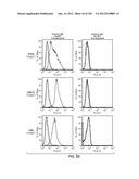 APOPTOTIC ANTI-IGE ANTIBODIES diagram and image