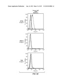 APOPTOTIC ANTI-IGE ANTIBODIES diagram and image