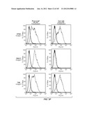 APOPTOTIC ANTI-IGE ANTIBODIES diagram and image