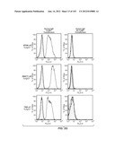 APOPTOTIC ANTI-IGE ANTIBODIES diagram and image