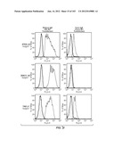 APOPTOTIC ANTI-IGE ANTIBODIES diagram and image