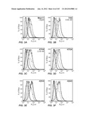 APOPTOTIC ANTI-IGE ANTIBODIES diagram and image