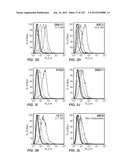 APOPTOTIC ANTI-IGE ANTIBODIES diagram and image