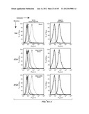 APOPTOTIC ANTI-IGE ANTIBODIES diagram and image