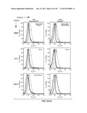 APOPTOTIC ANTI-IGE ANTIBODIES diagram and image