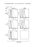 APOPTOTIC ANTI-IGE ANTIBODIES diagram and image