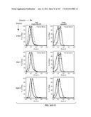 APOPTOTIC ANTI-IGE ANTIBODIES diagram and image