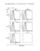 APOPTOTIC ANTI-IGE ANTIBODIES diagram and image