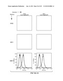 APOPTOTIC ANTI-IGE ANTIBODIES diagram and image