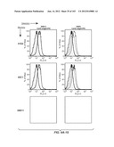 APOPTOTIC ANTI-IGE ANTIBODIES diagram and image