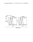 APOPTOTIC ANTI-IGE ANTIBODIES diagram and image