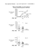 APOPTOTIC ANTI-IGE ANTIBODIES diagram and image