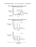 APOPTOTIC ANTI-IGE ANTIBODIES diagram and image