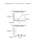 APOPTOTIC ANTI-IGE ANTIBODIES diagram and image