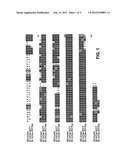 BRASSICA INDEHISCENT1 SEQUENCES diagram and image