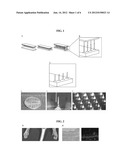 MICRONEEDLE ARRAYS FOR ACTIVE AGENT DELIVERY diagram and image