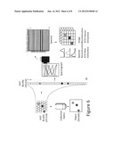 System and Method of Chemical Imaging Using Puled Laser Excitation and     Time-Gated Detection to Determine Tissue Margins During Surgery diagram and image