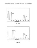 ENDOSCOPE SYSTEM FOR FLUORESCENT OBSERVATION diagram and image