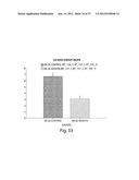 VASCULAR ANALYSIS METHODS AND APPARATUS diagram and image