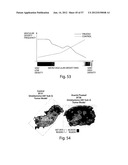 VASCULAR ANALYSIS METHODS AND APPARATUS diagram and image