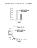 VASCULAR ANALYSIS METHODS AND APPARATUS diagram and image