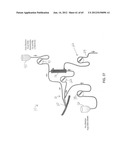 System and Method for Delivery of Regional Citrate Anticoagulation to     Extracorporeal Blood Circuits diagram and image