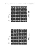 IMPLANTABLE SILK PROSTHETIC DEVICE AND USES THEREOF diagram and image