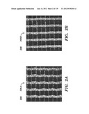 IMPLANTABLE SILK PROSTHETIC DEVICE AND USES THEREOF diagram and image