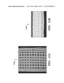 IMPLANTABLE SILK PROSTHETIC DEVICE AND USES THEREOF diagram and image