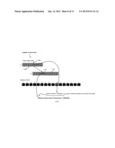 VIRTUALIZING PROCESSOR MEMORY PROTECTION WITH  L1 ITERATE AND L2     DROP/REPOPULATE  diagram and image