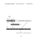 VIRTUALIZING PROCESSOR MEMORY PROTECTION WITH  L1 ITERATE AND L2 SWIZZLE  diagram and image