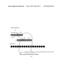 VIRTUALIZING PROCESSOR MEMORY PROTECTION WITH  L1 ITERATE AND L2 SWIZZLE  diagram and image