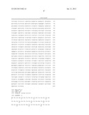 Novel Laccases, Compositions and Methods of Use diagram and image