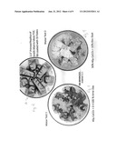 Scale-Up Device For Testing Bit Balling Characteristics diagram and image