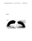 METHOD AND SYSTEM TO STABILIZE AND PRESERVE ION ARTIFACTS diagram and image