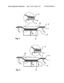 DEVICE AND METHOD FOR DETACHING A SEMICONDUCTOR WAFER FROM A SUBSTRATE diagram and image