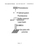 Massively Parallel 2-Dimensional Capillary Electrophoresis diagram and image