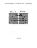 Massively Parallel 2-Dimensional Capillary Electrophoresis diagram and image