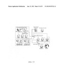 Massively Parallel 2-Dimensional Capillary Electrophoresis diagram and image