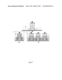 Massively Parallel 2-Dimensional Capillary Electrophoresis diagram and image