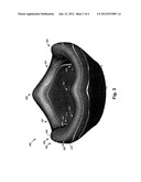 Modular Pods for Use with an Unmanned Aerial Vehicle diagram and image