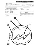 DEVICE AND METHOD FOR PLACING INDICIA ON VEHICLE FUEL DOORS diagram and image