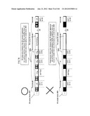 RECORDING MEDIUM, PLAYBACK DEVICE, AND INTEGRATED CIRCUIT diagram and image