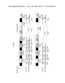 RECORDING MEDIUM, PLAYBACK DEVICE, AND INTEGRATED CIRCUIT diagram and image