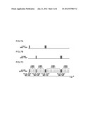 OPTICAL PACKET SWITCHING SYSTEM diagram and image