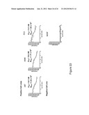 DIAGNOSIS AND TREATMENT OF TUMORS diagram and image